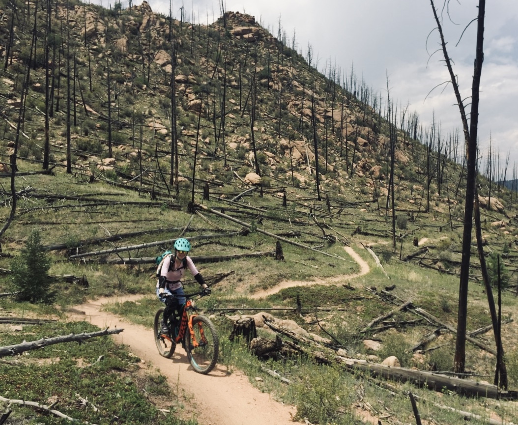 Mountain biking through a burned area in Buffalo Creek.