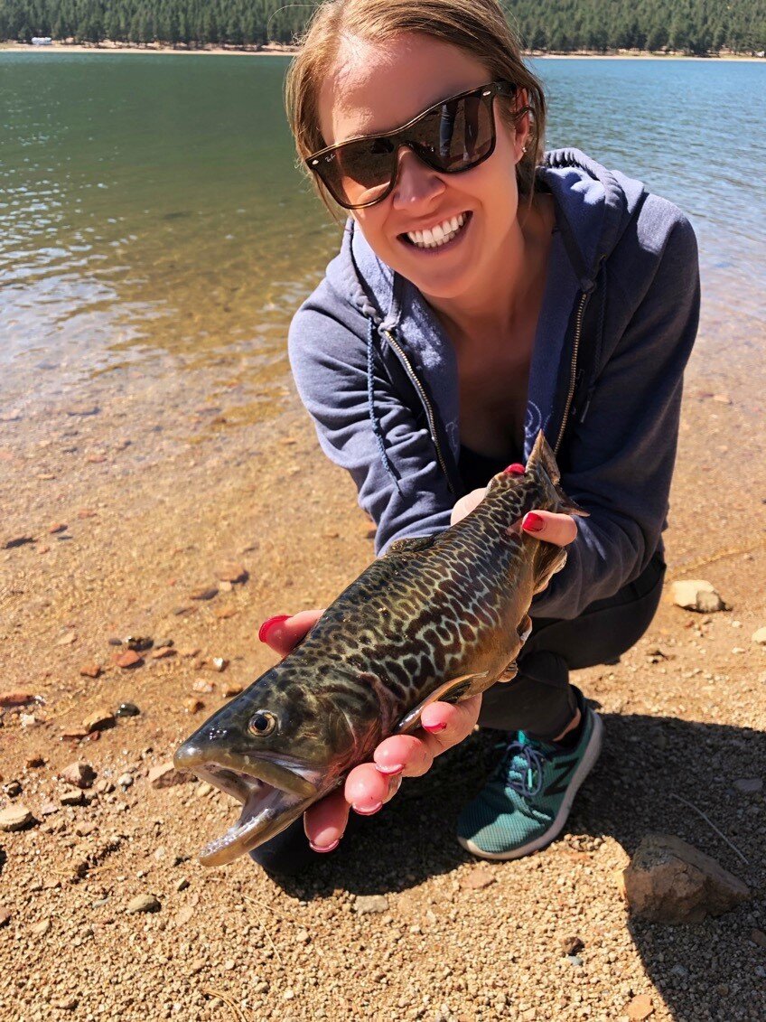 Tiger trout.jpg