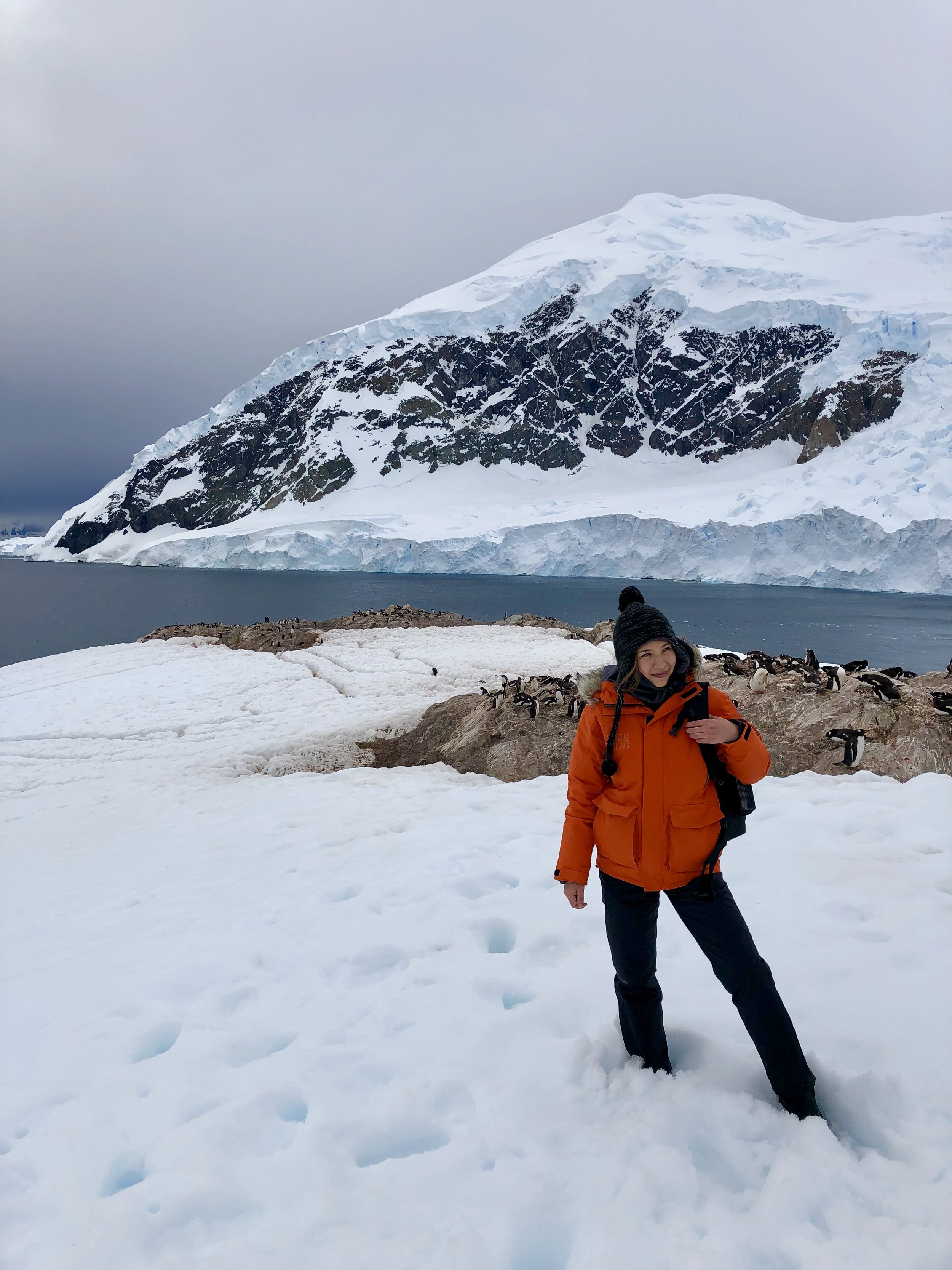 Heaven stands atop a mountain in Antarctica with Gentoo penguins in the background.
