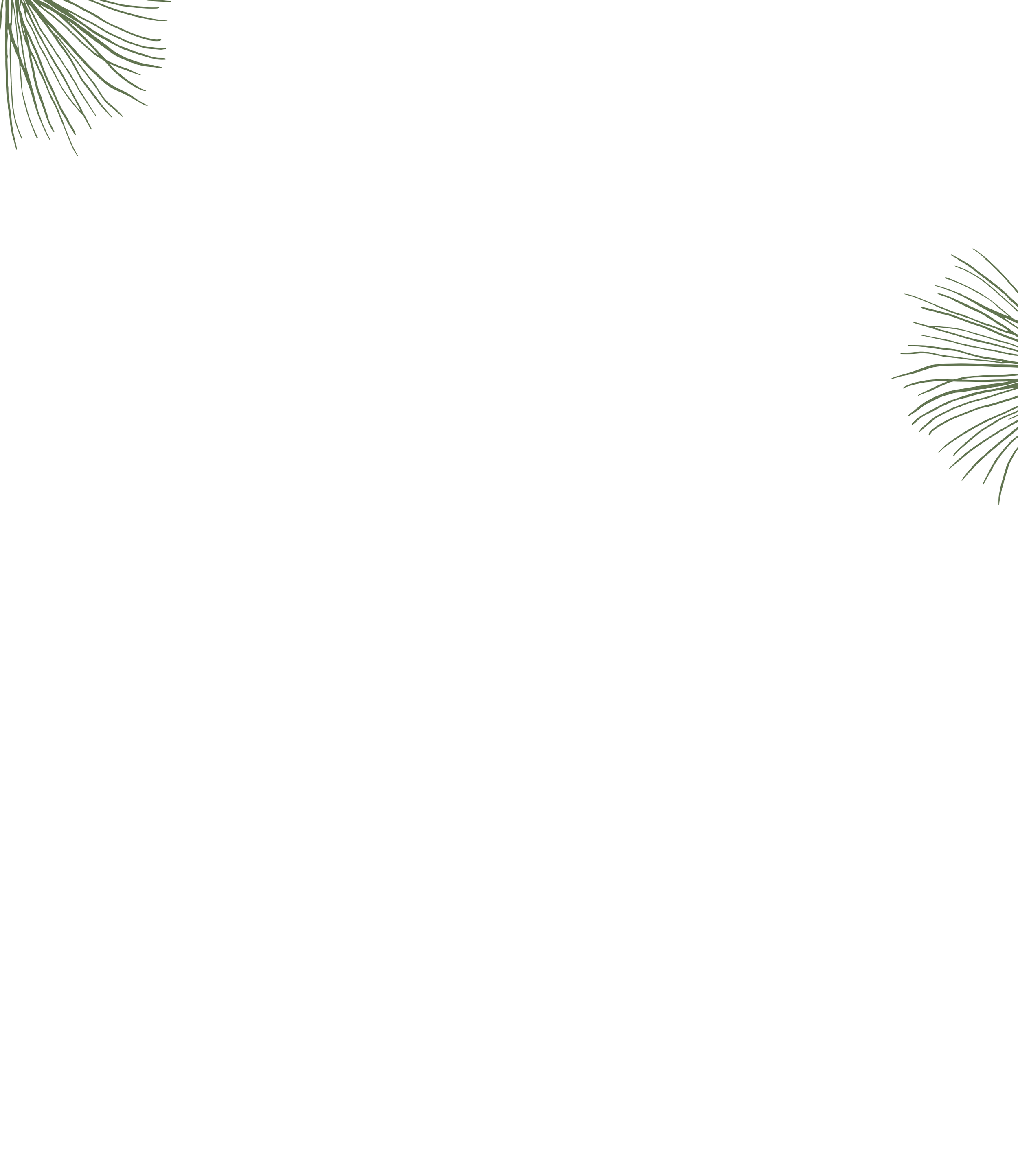 FounderBackground.png