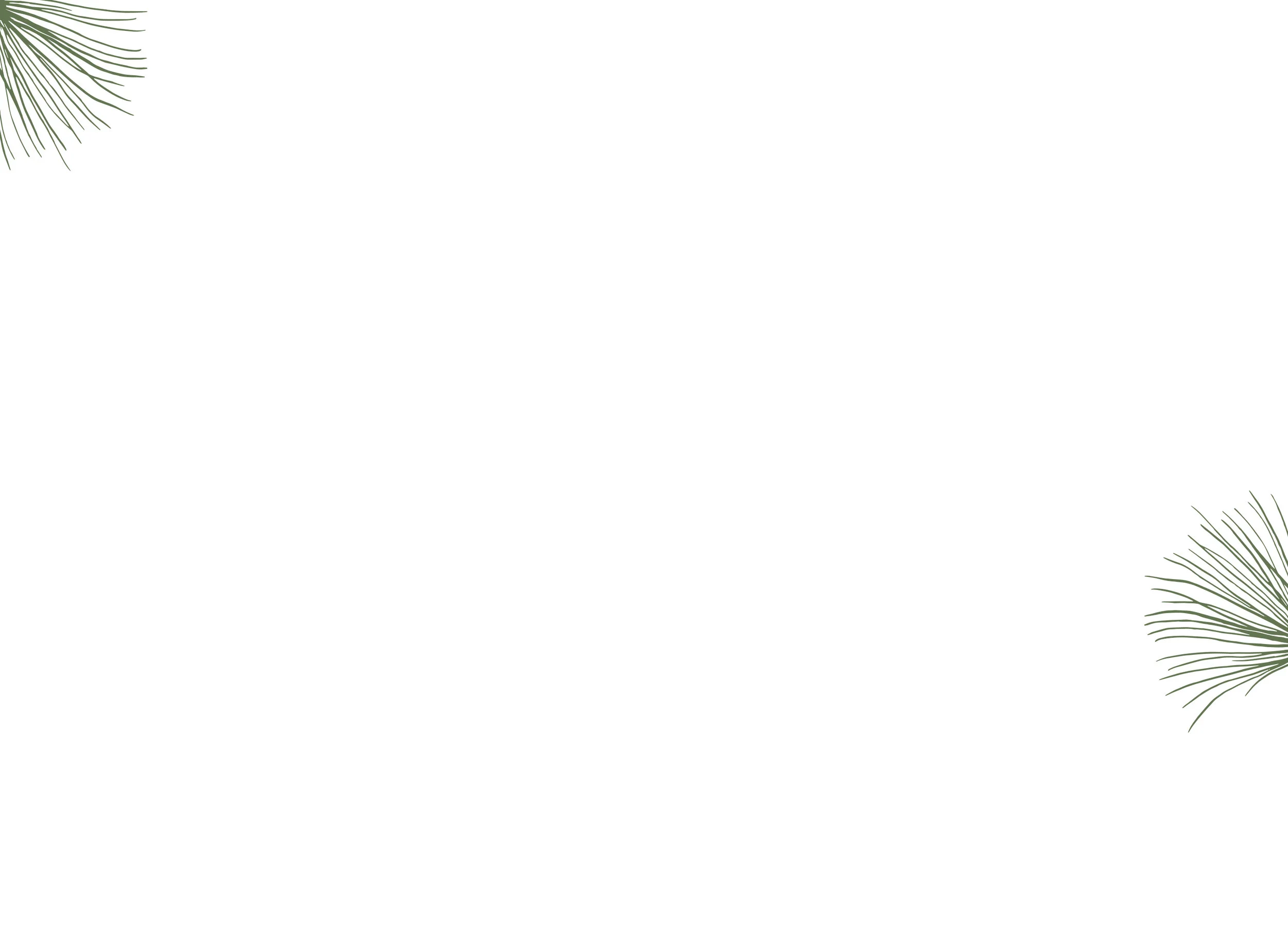 Blog_Background.jpg
