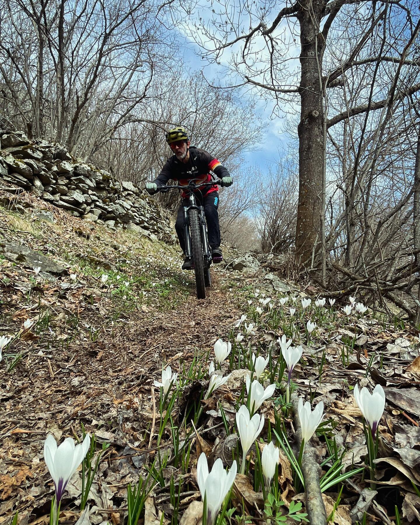 Spring has sprung&hellip;
#ridingbikes #mtb #valaiswallis #emtb #mtblife #goats
@coticbikes