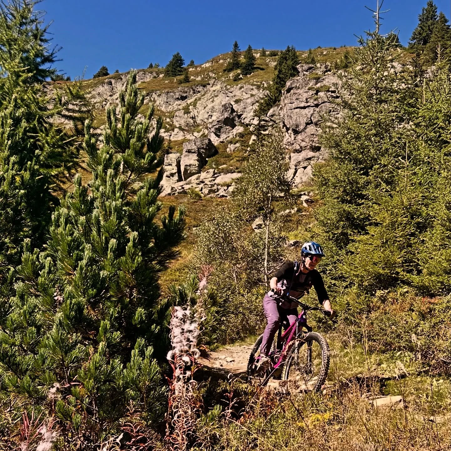 A great day out with Kathy last week, showing her some classic Chamonix single track!
 
#mtb #mtblife #mtbsingletrack #mtbflow #flowtech #alltimefalltime