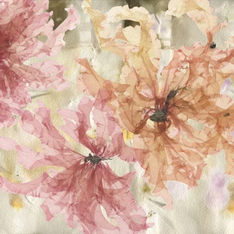 3 Grinnell with eco pressing copy.jpeg