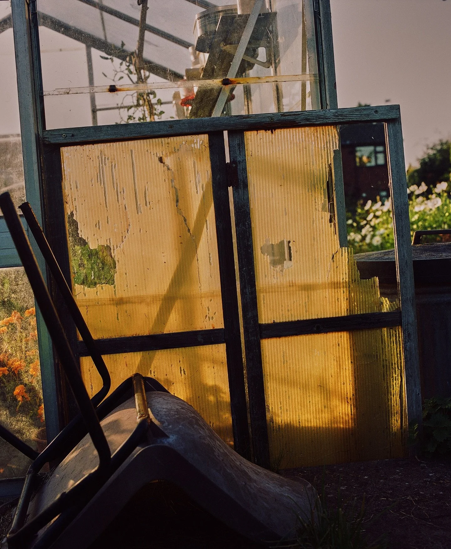 Allotment details

#portra400 #documentaryphotographer