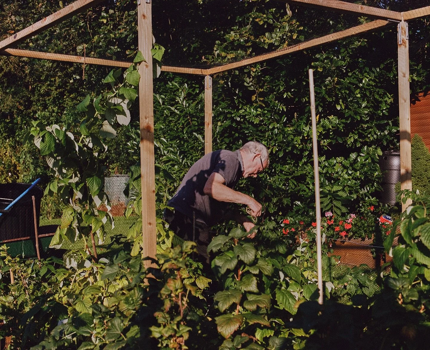 Allotment details

#portra400