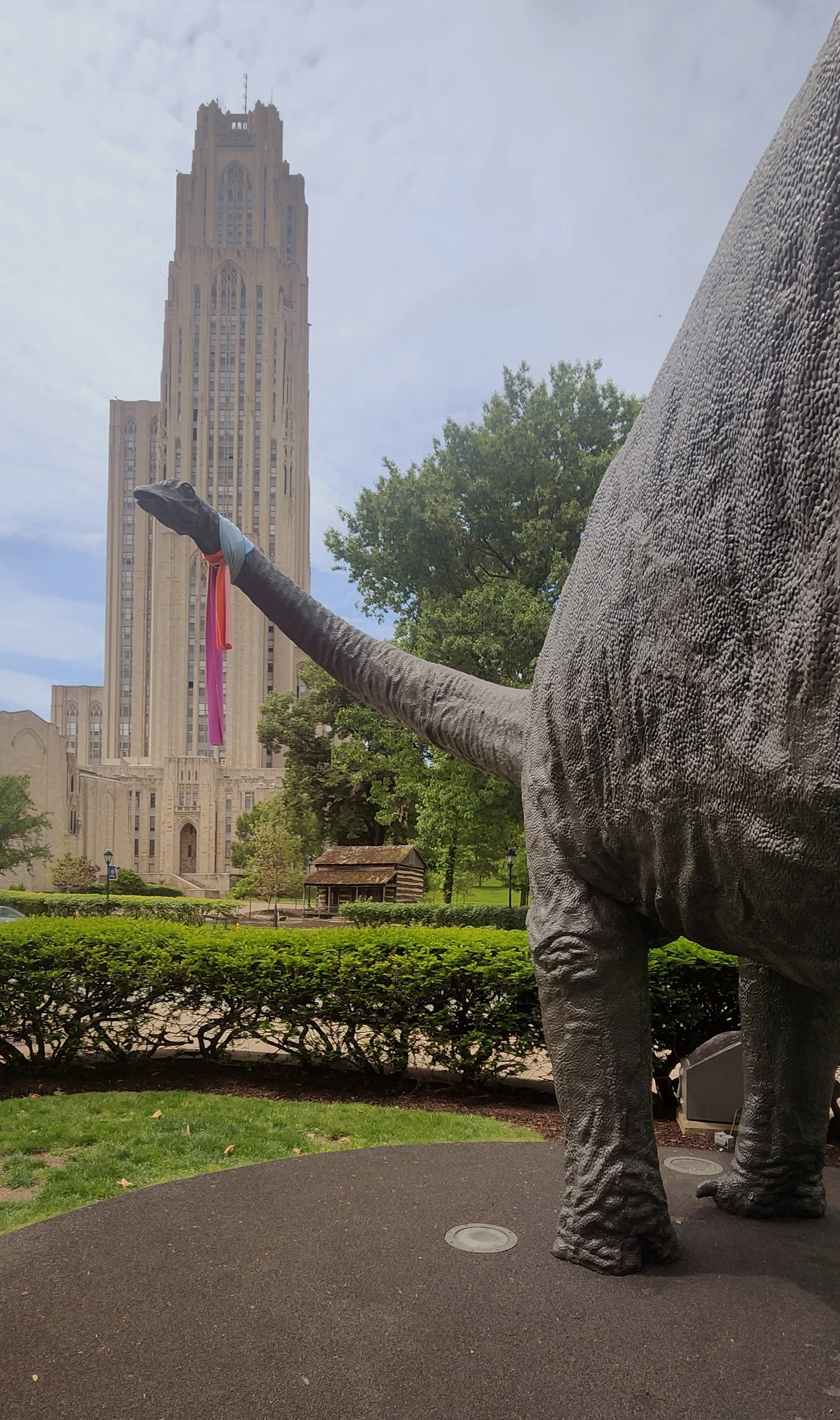 20260523_143537.jpg
