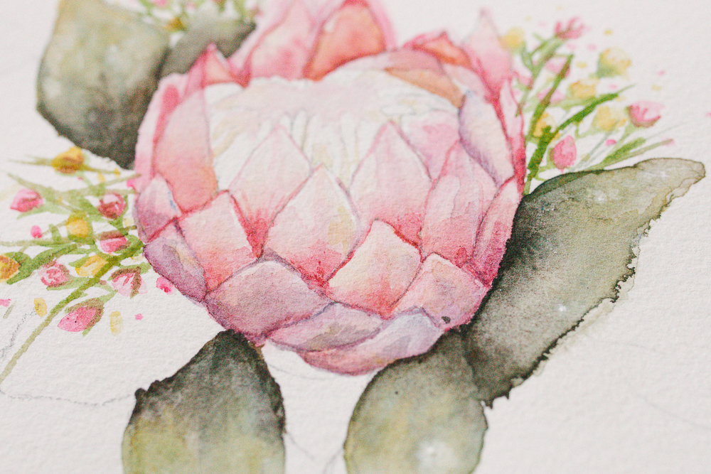 Queen Protea Flower. Mercy Creates