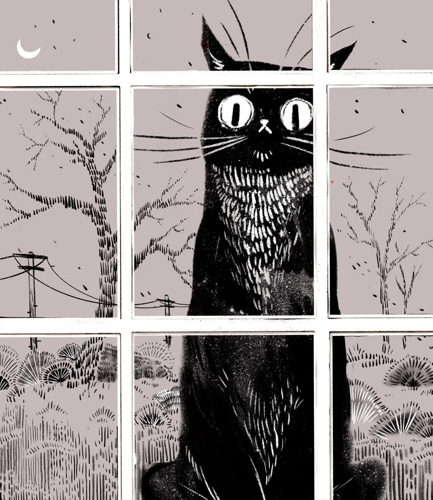 cat-window.jpeg