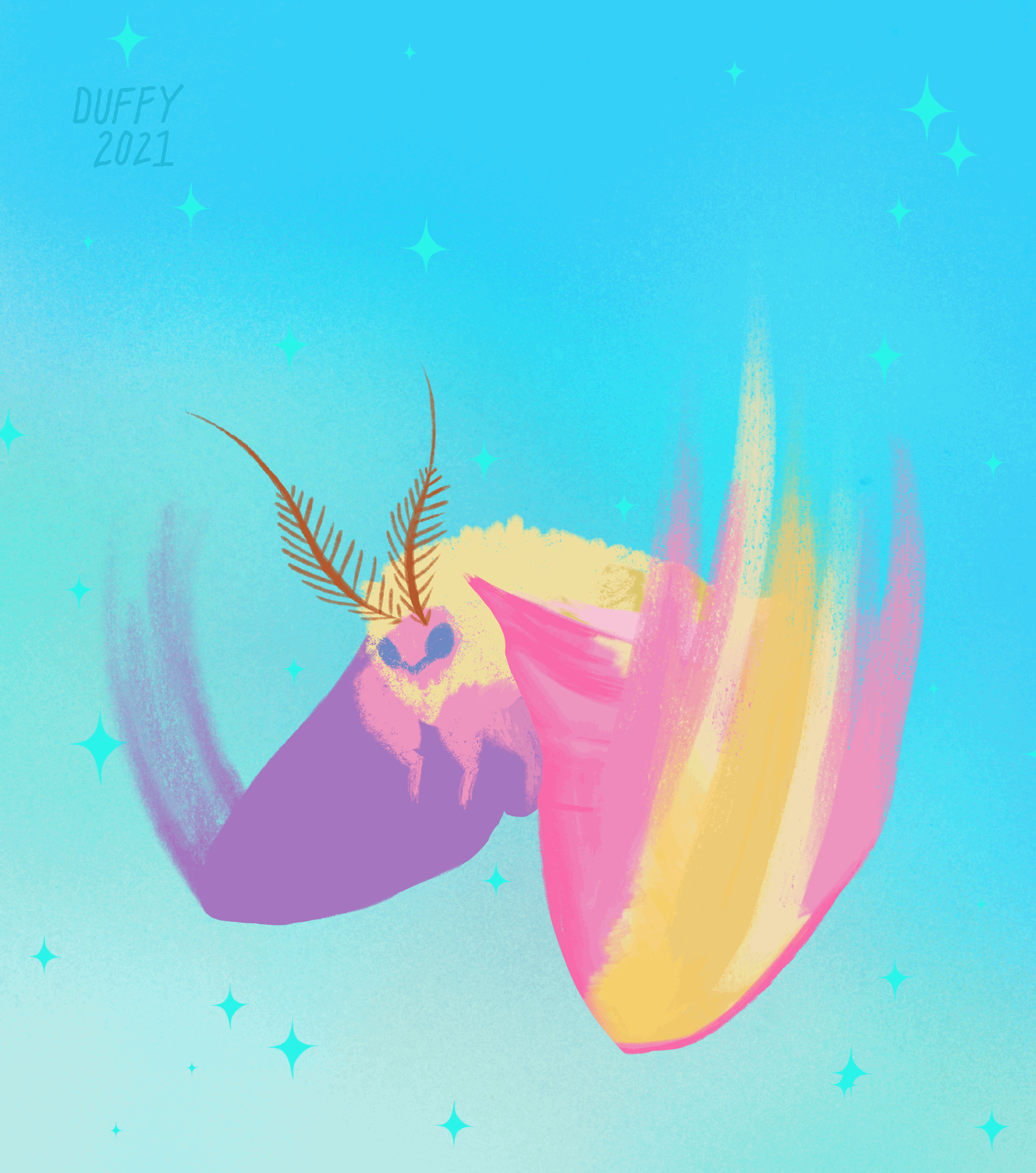 Rosy-maple-moth-anim.gif