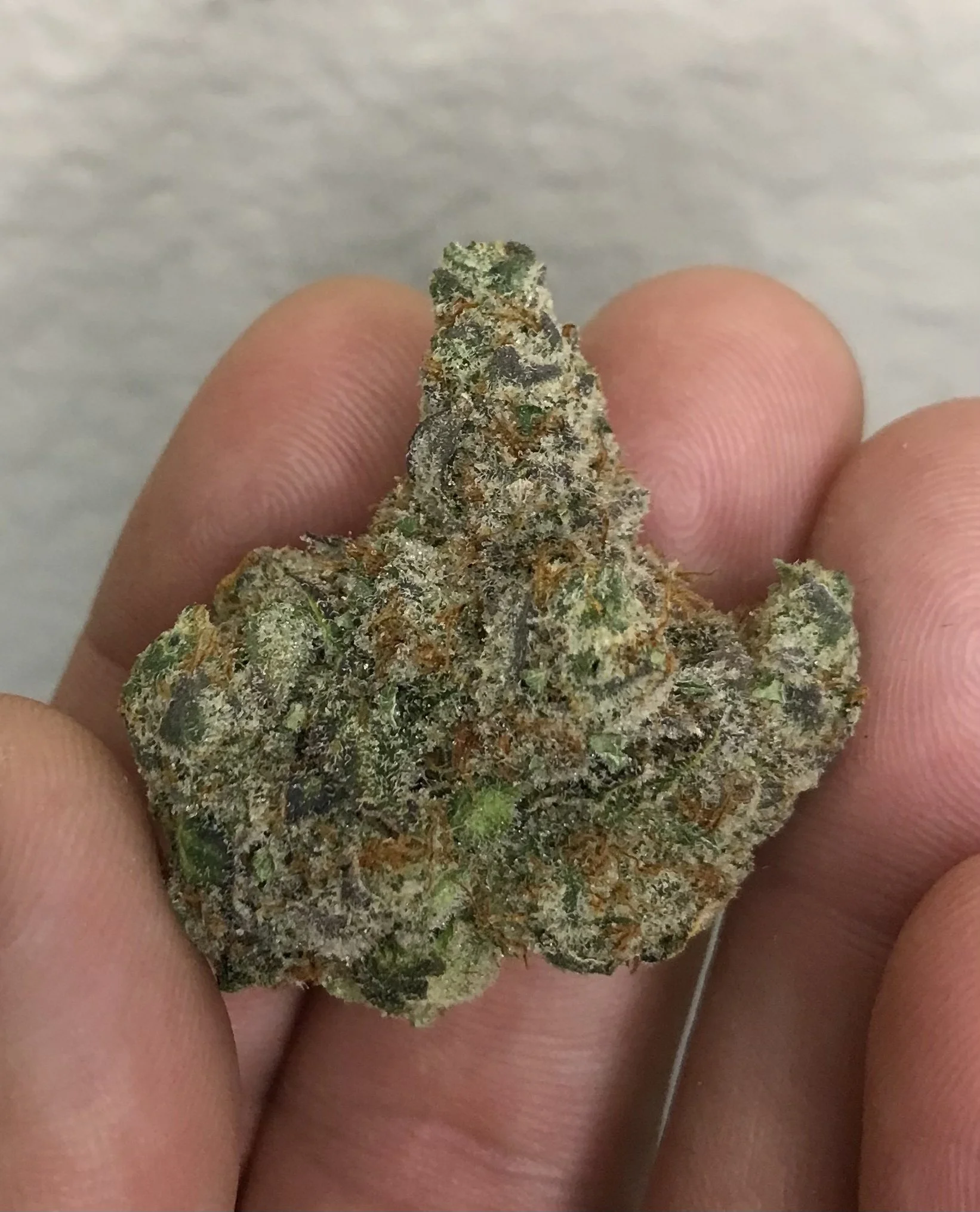 Maddfruit- Papayaberry x Moroccan Peaches