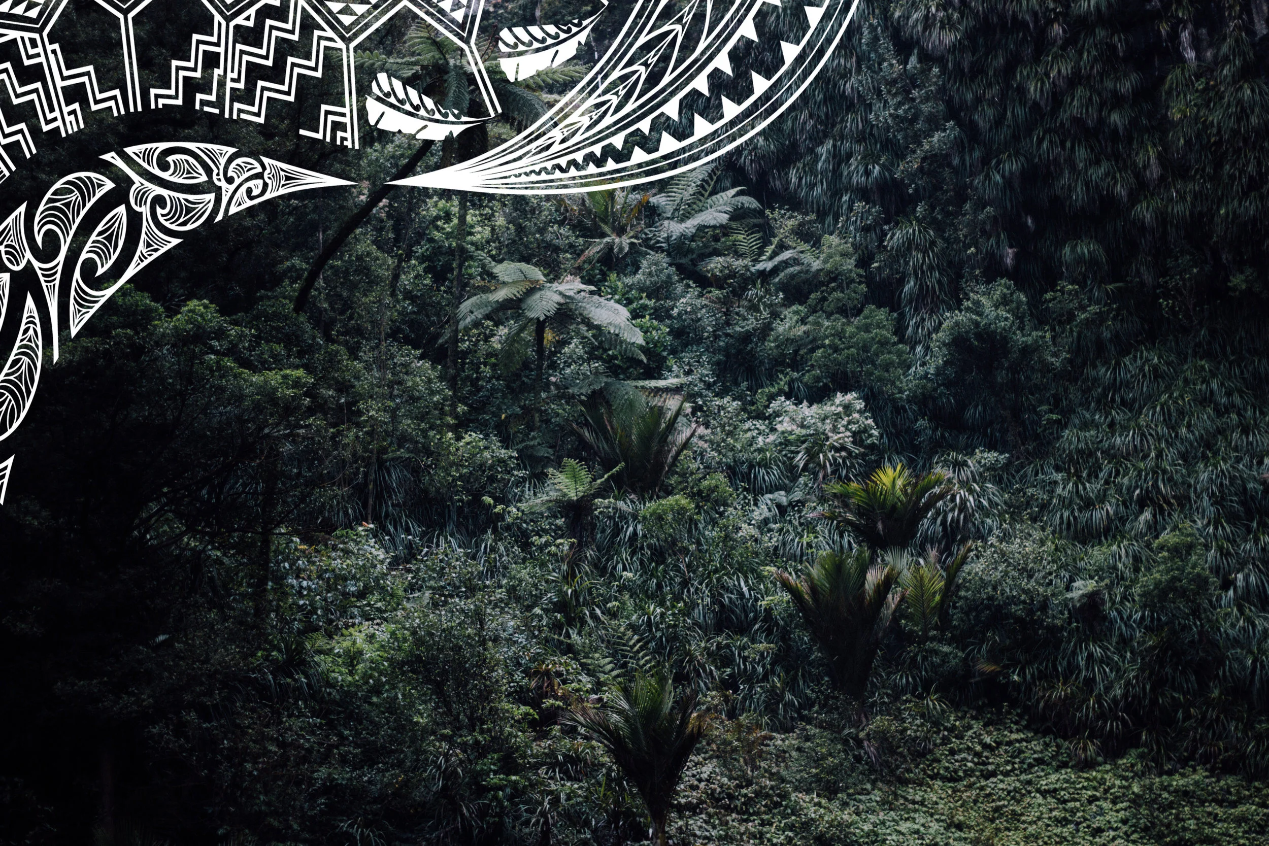 tim-marshall-155597-unsplash TM.jpg