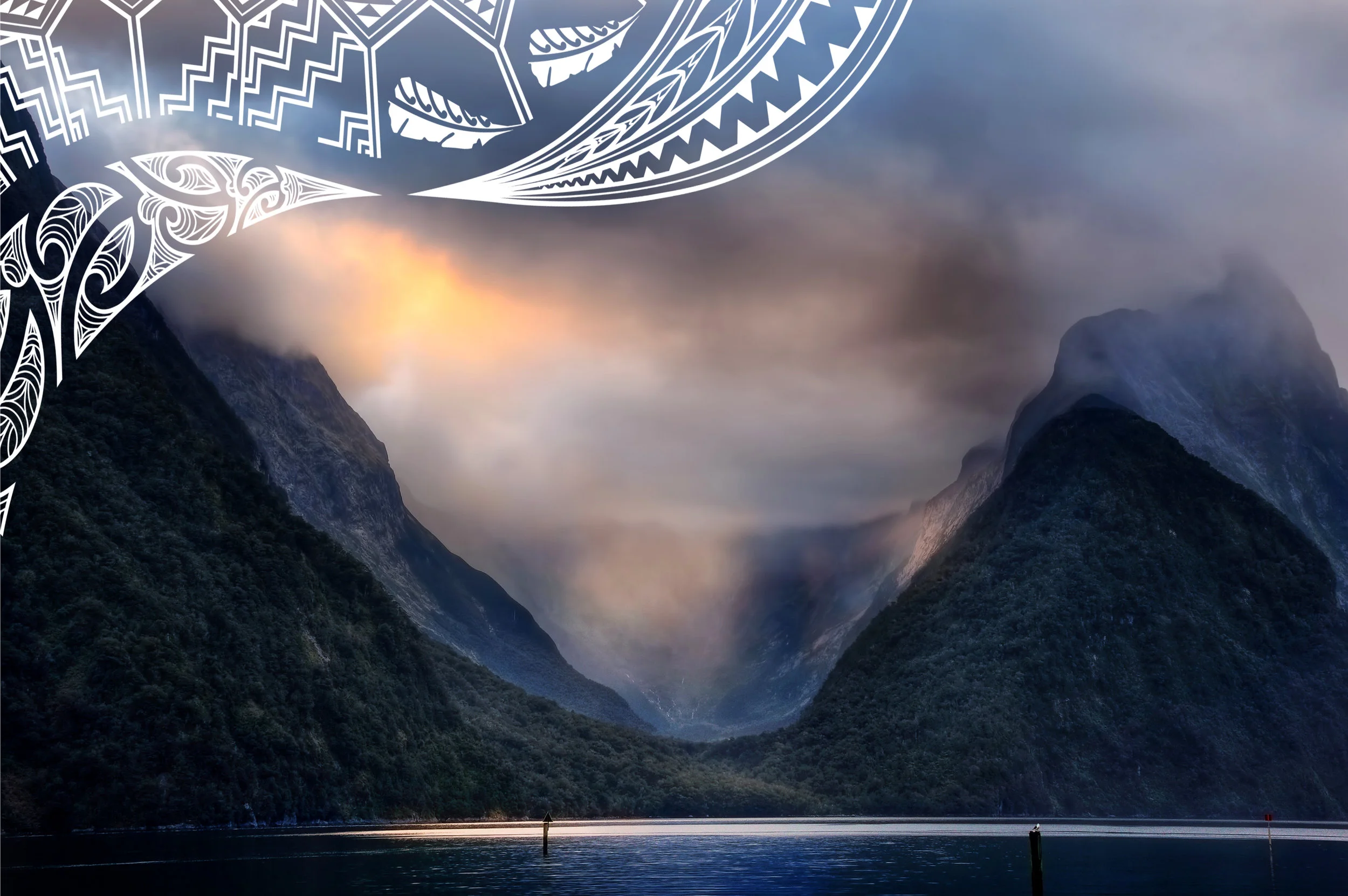 peter-hammer-331169-unsplash TM.jpg