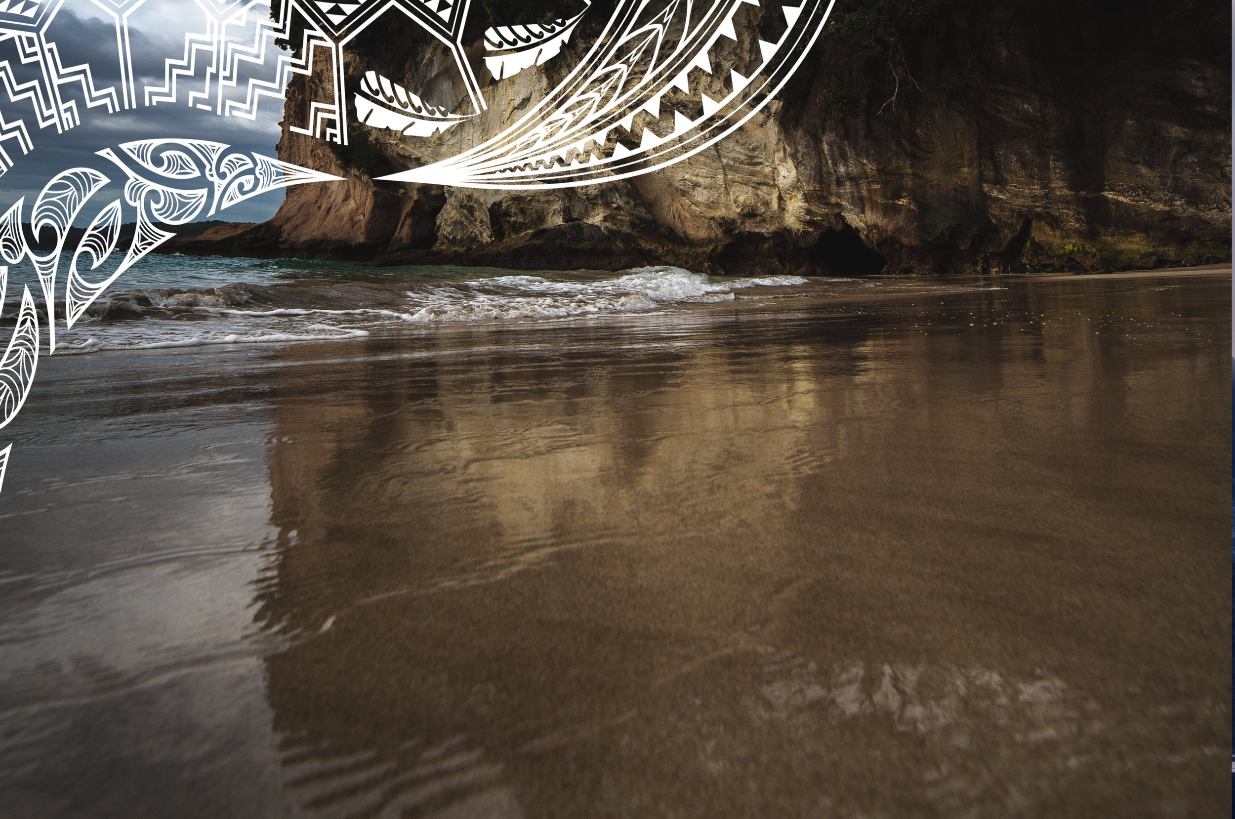 casey-horner-676621-unsplash TM v2.jpg