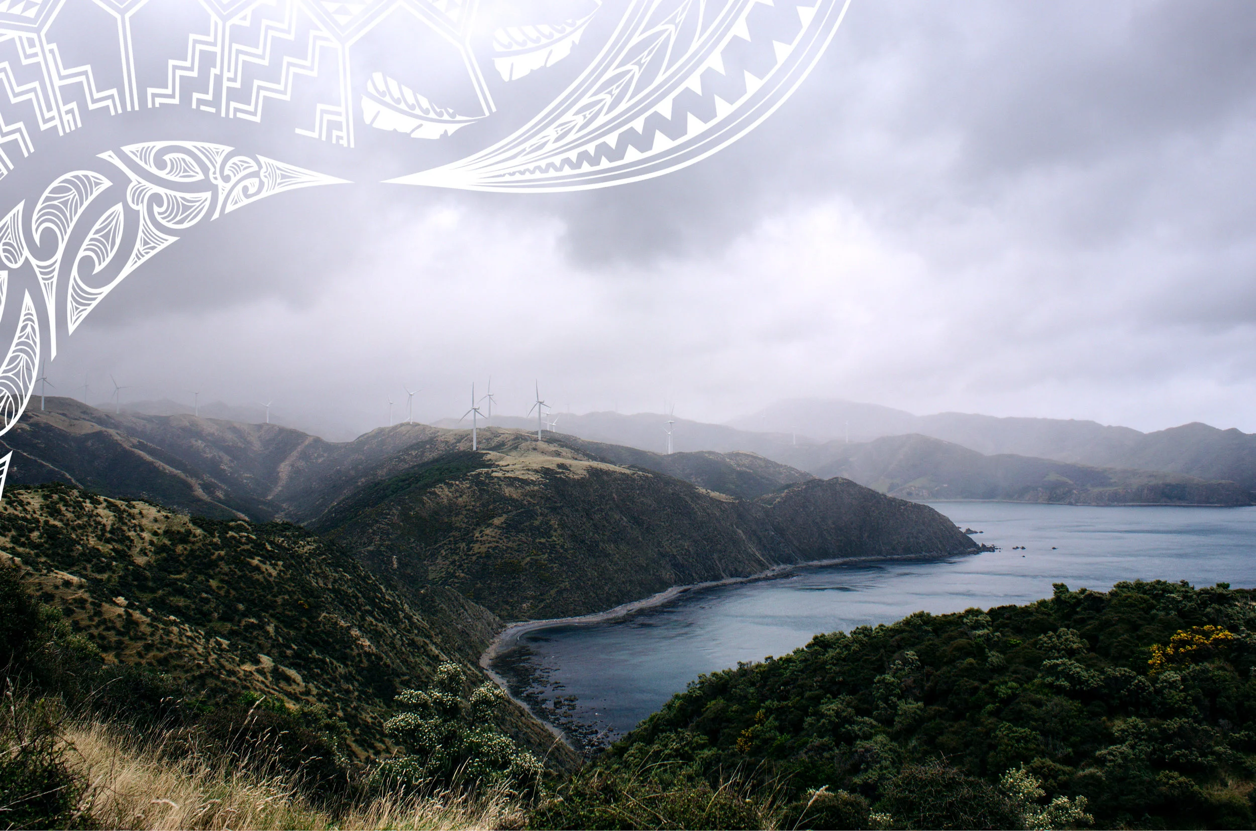 nate-wilson-475199-unsplash TM.jpg