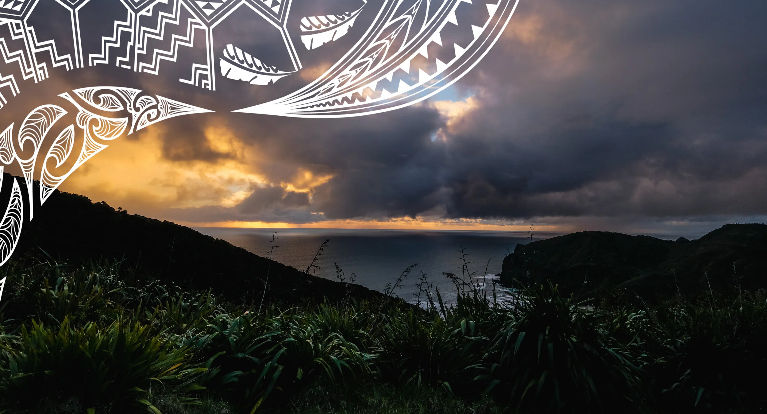 annie-CEmXk0FMVeE-unsplash TM v2 (1).jpg