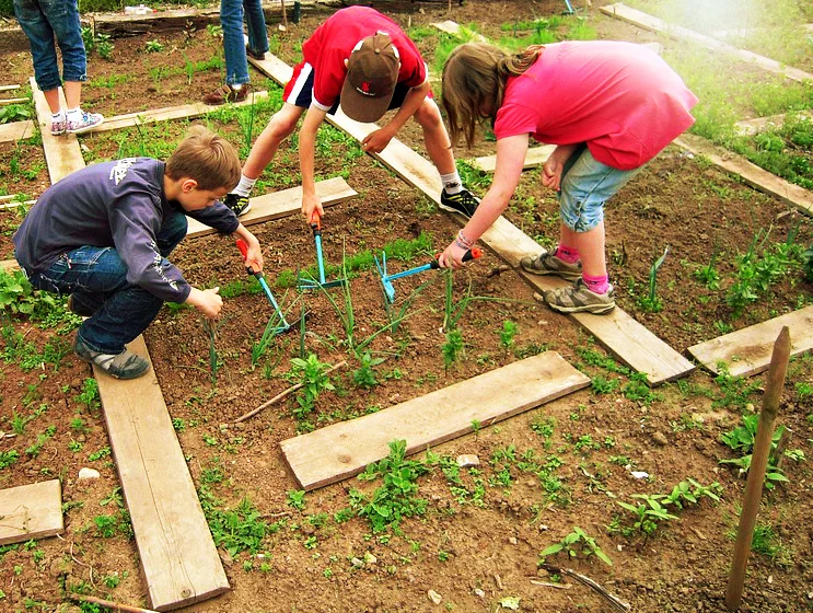school-garden.jpg