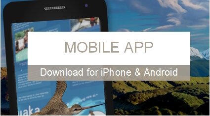  Download the free Tuia Mātauranga mobile app - you can use this for the virtual and augmented reality experiences both at the roadshow, and in your take away activity booklet. It’s free and works for  iPhone  6s and  Android  7, and newer models. 