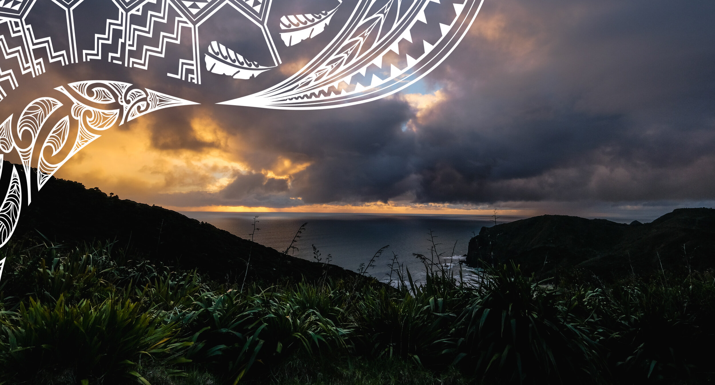 annie-CEmXk0FMVeE-unsplash TM v2 (1).jpg