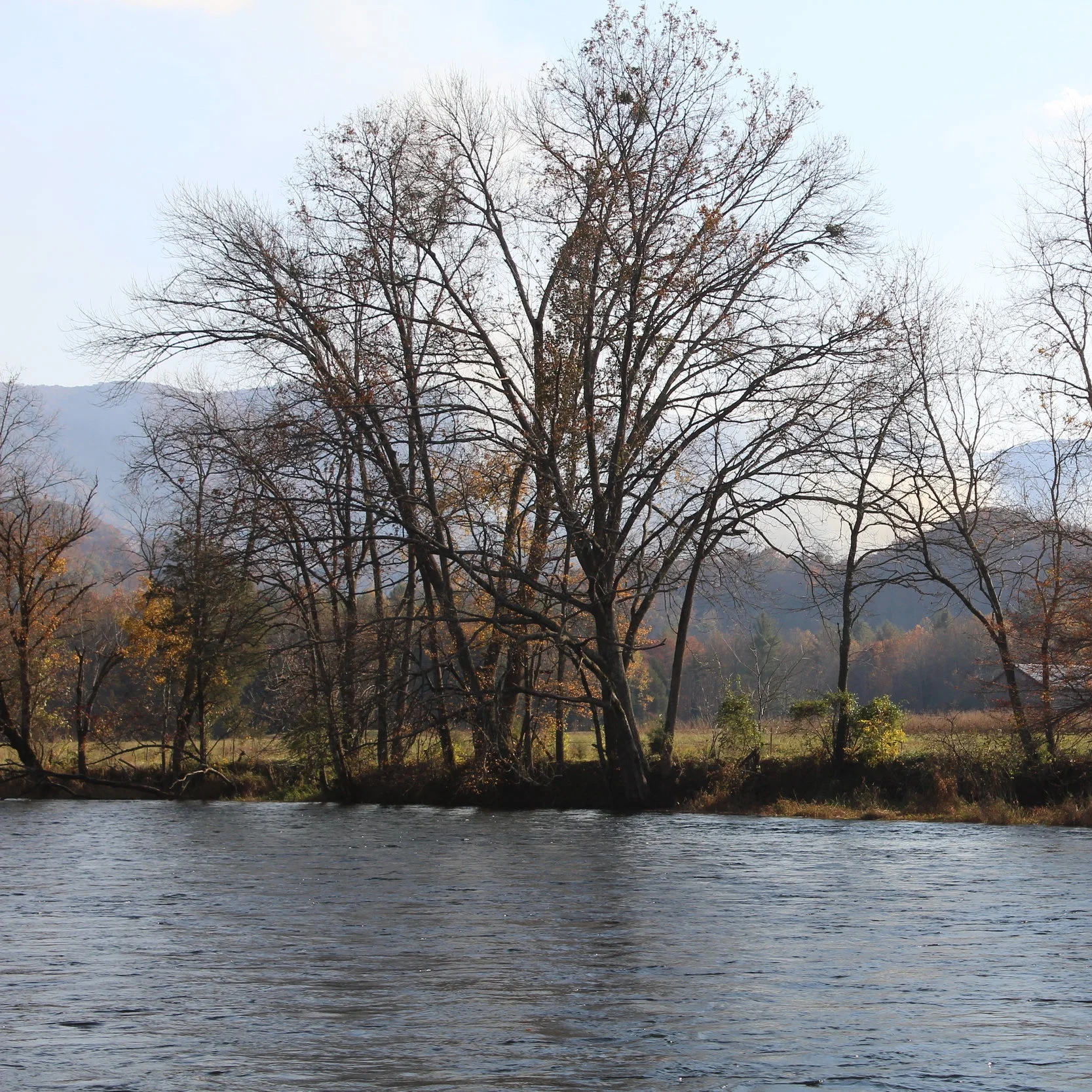 Southern Fishing That Will Make You Say Wow