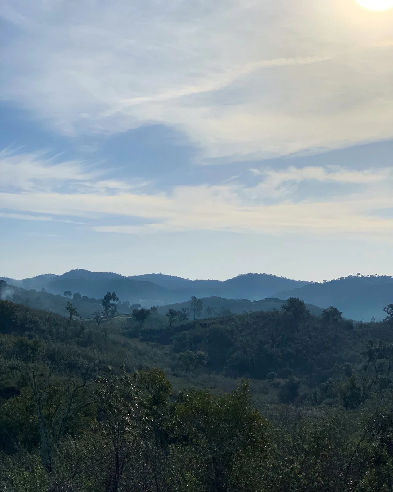 view.jpeg