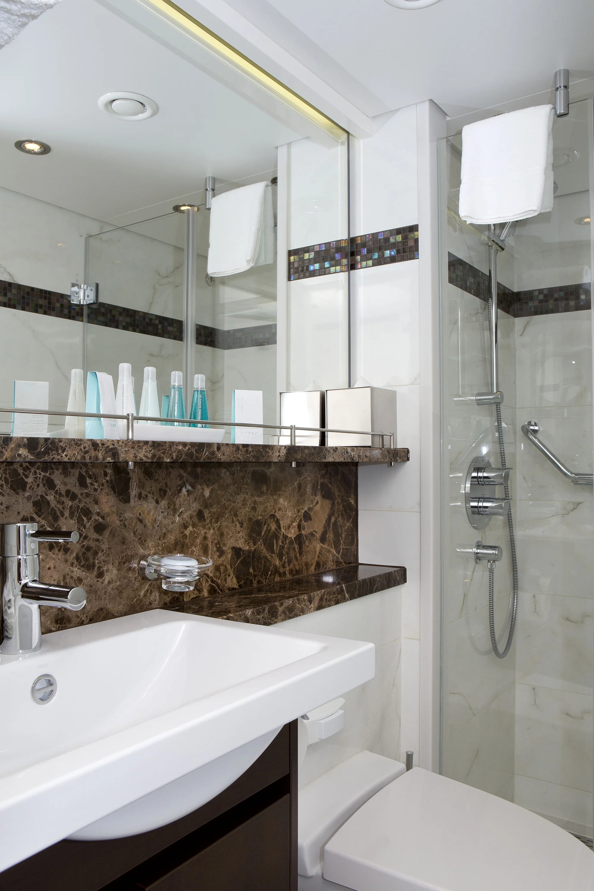 AmaSonata Standard Bathroom