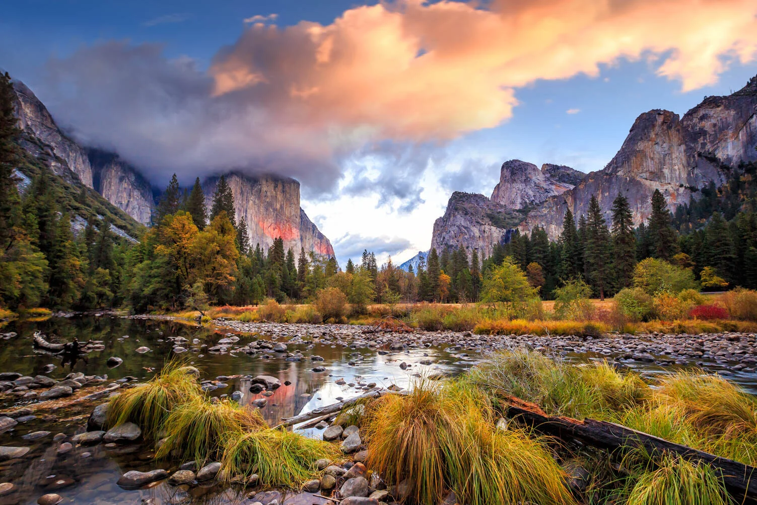 AdobeStock_219901659.jpg