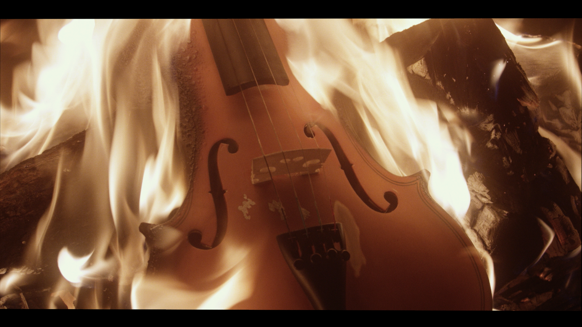 VIOLIN.png