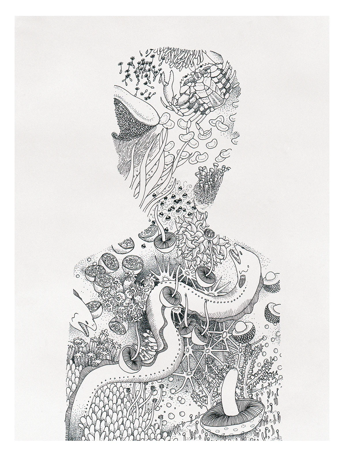 BD Fritz Kahn 20x27cm 01_kleur_LR.jpg