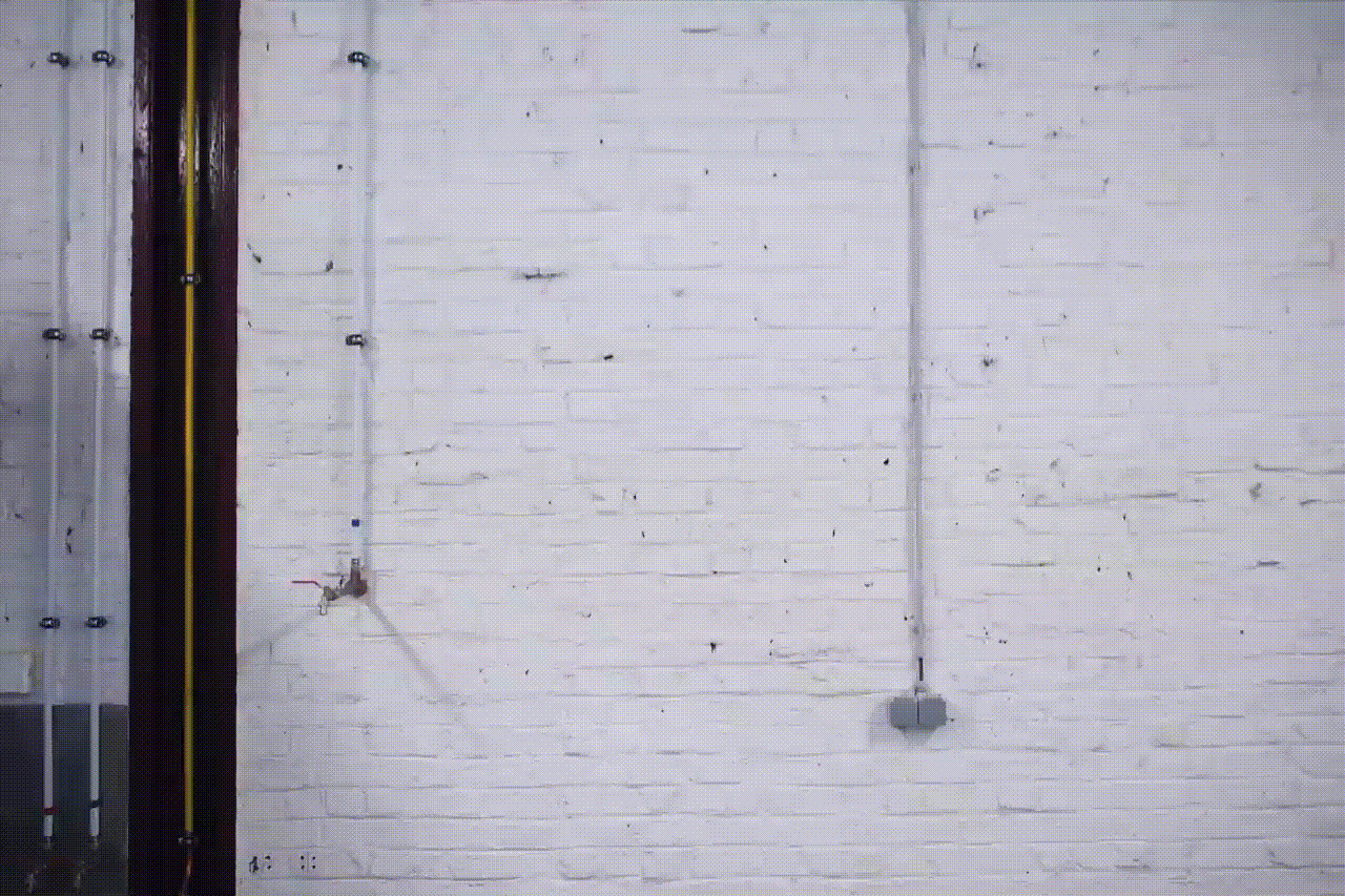 Timelapse_LR.gif