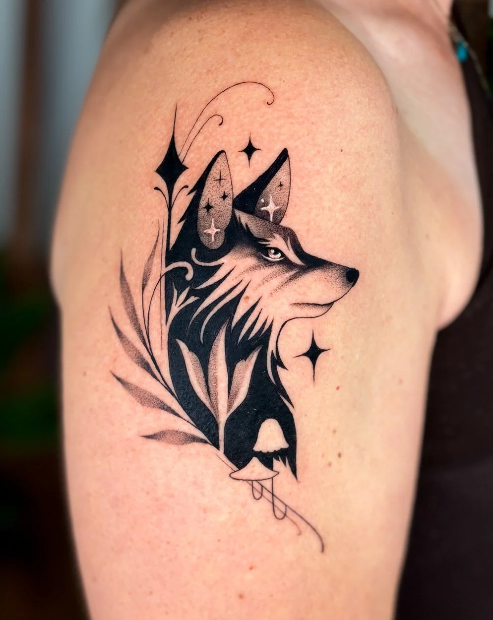 IMG_8497.jpg