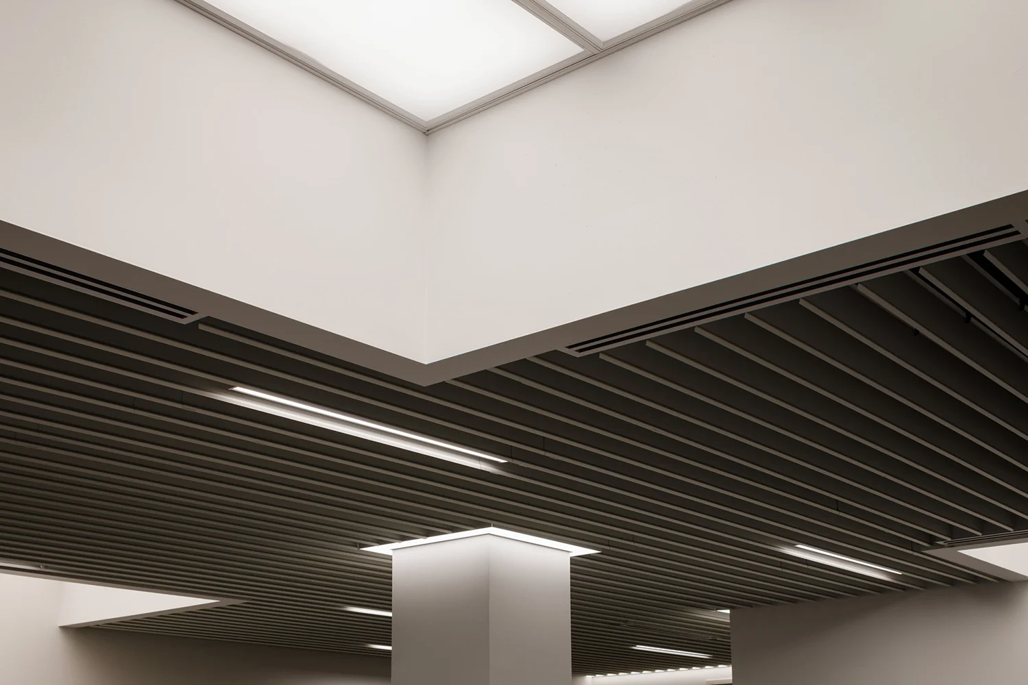 The Musial Group Architecture_UCC Lessner_3.jpg