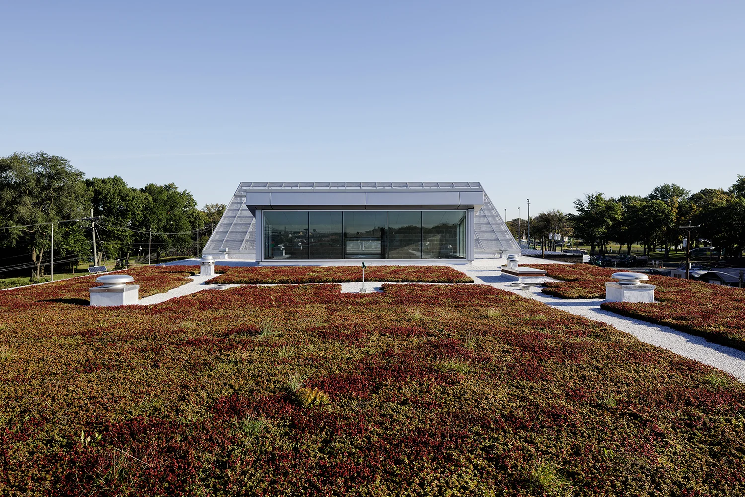 The Musial Group Architecture_Lincoln Park_2.jpg