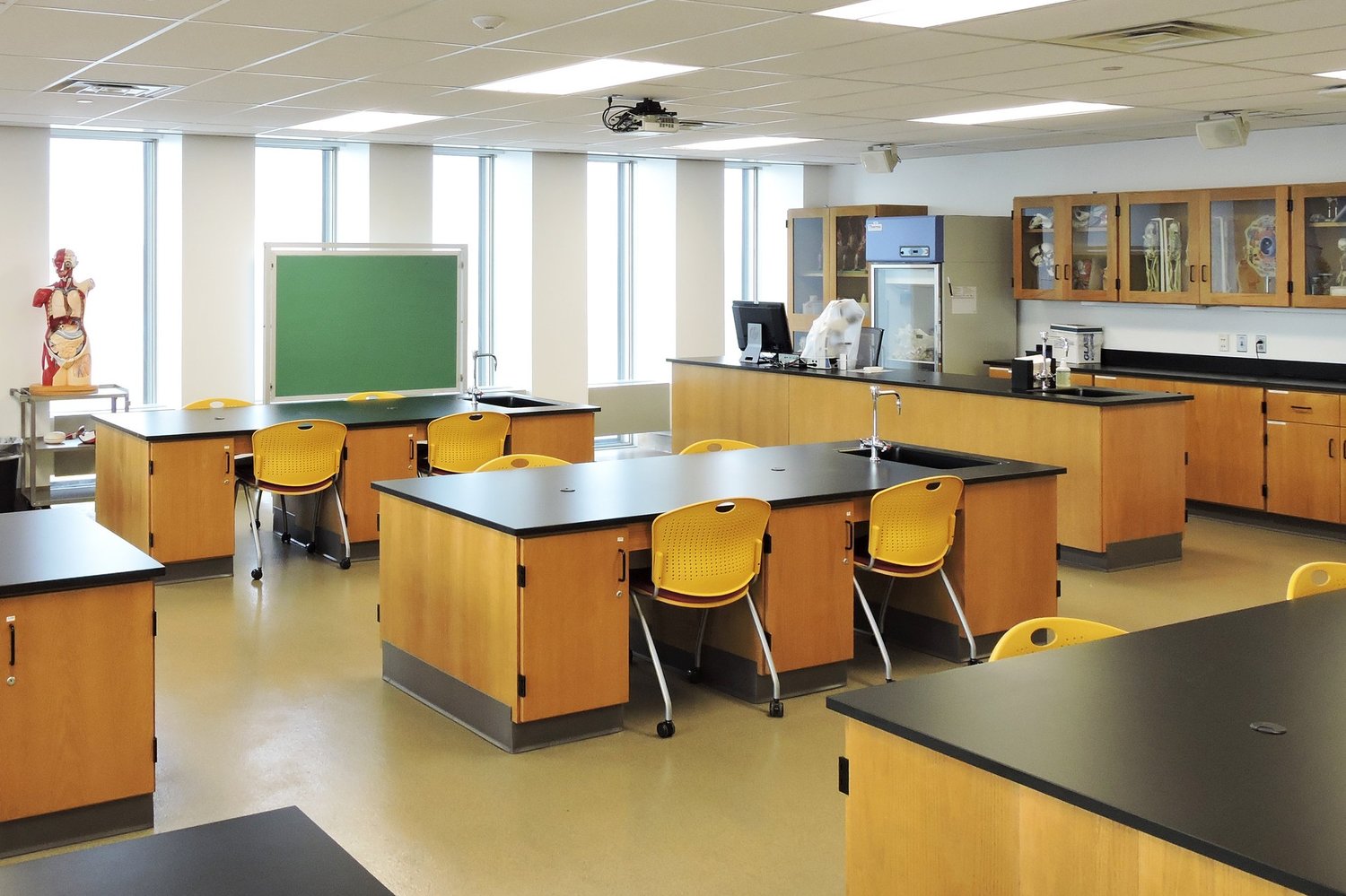Musial_UCC Lessner Science_1.jpg
