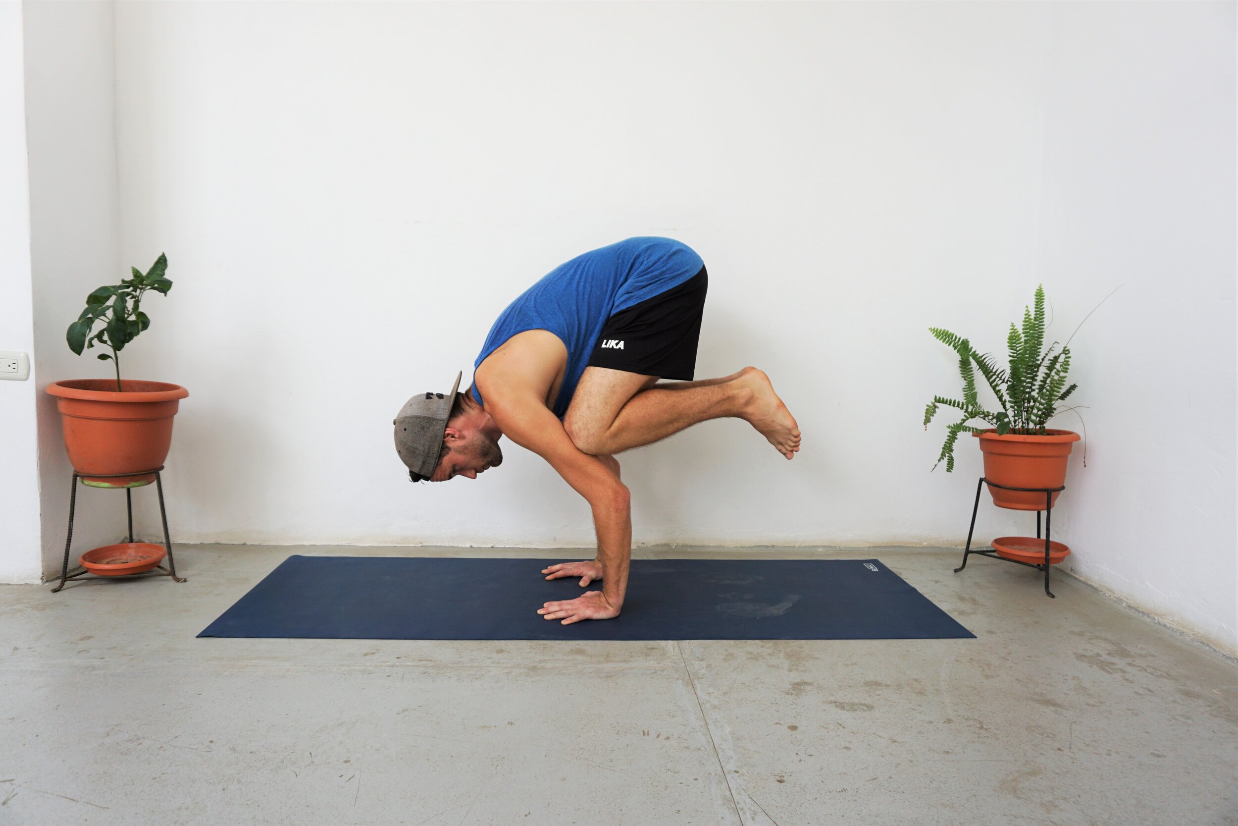 What is the Difference Between Crow Pose / Kakasana and Crane Pose ...
