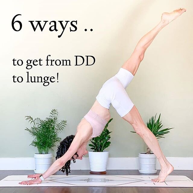 📷 @cece.carson ⁣
🦄 There is more than 𝗢𝗡𝗘 way to do any one thing, don&rsquo;t you know?⁣ 👉🏼 Swipe for 6 ways to move from #DownwardFacingDogPose &harr;️ #AdhoMukhaSvanasana to #CrescentLungePose or #HighLungePose &harr;️#UtthitaAshwaSanchalan
