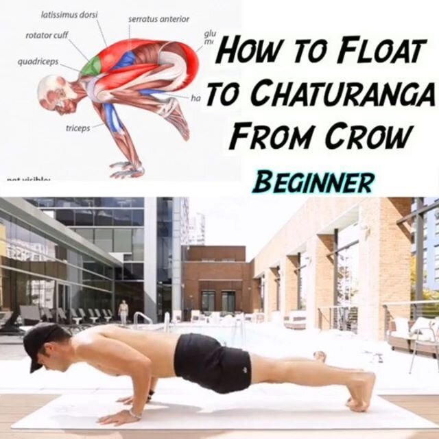 📷 @actionhiro
One of the most requested transitions from you yogis: #Kakasana &harr;️ #CrowPose to &nbsp;#ChaturangaDandasana&nbsp;&harr;#FourLimbedStaffPose&nbsp;or&nbsp;#LowPlankPose&nbsp;on @yogaalignment .
.
Here are the 3 most common things I s