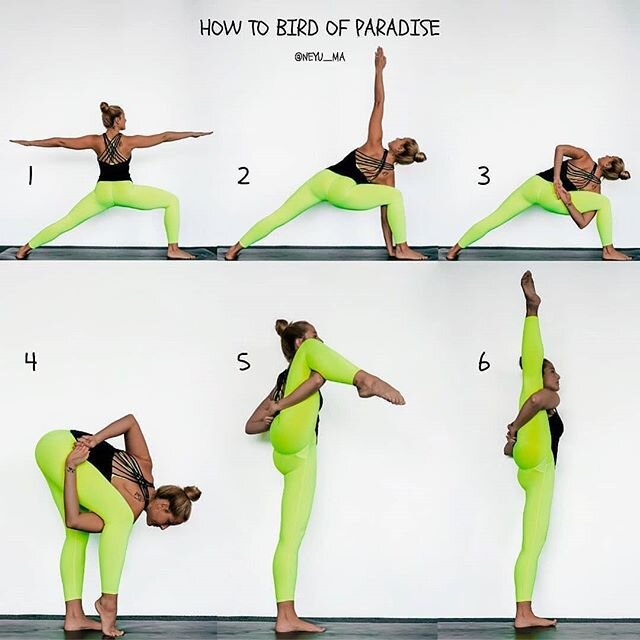 📷 @neyu_ma
@yogaalignment How to get from Warrior II into Bird of Paradise. 🐥 #SvargaDvijasana &harr; #ParadiseTwiceBorn Pose or #BirdofParadisePose on 👉@yogaalignment

Step 1: Warrior 2 pose
Step 2: Side Angle Pose with hand in front of the foot
