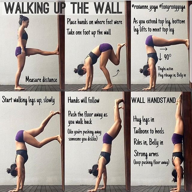 📷 @roxannegan_
Getting up and down - Handstand against the wall 😊😊 save this post and tag a friend who is practicing their 🙌 #AdhoMukhaVrksasana &harr; #HandstandPose on 👉@yogaalignment ・
・
・ 
PART 1: Looks so easy right?! 🦊
As easy as it looks