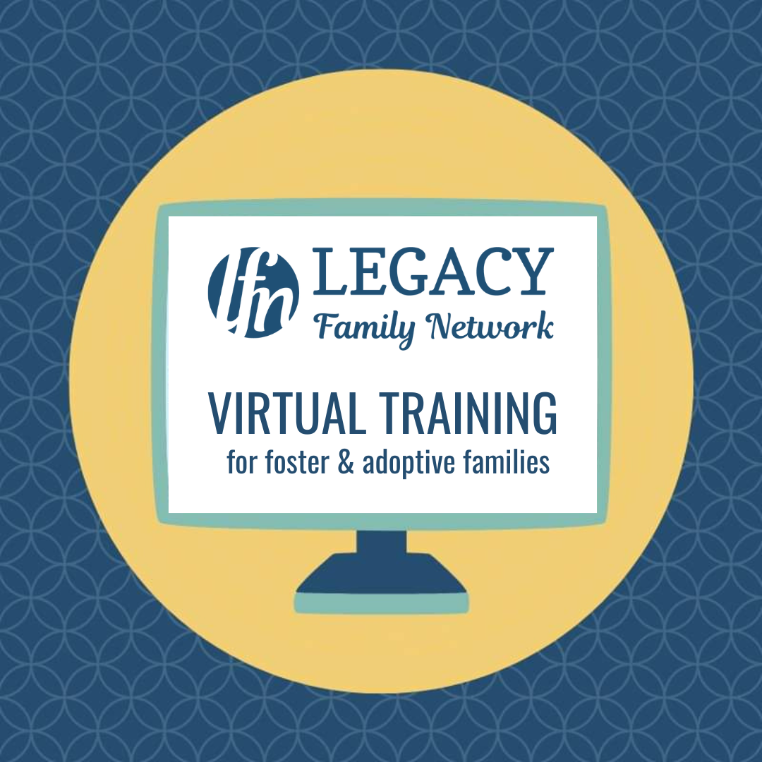 Virtual Training