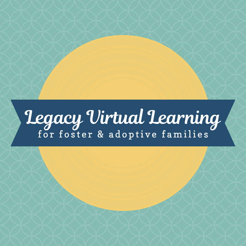 Virtual Training: Understanding Fetal Alcohol Spectrum Disorder
