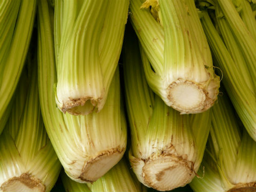 celery-5755_1280.jpg