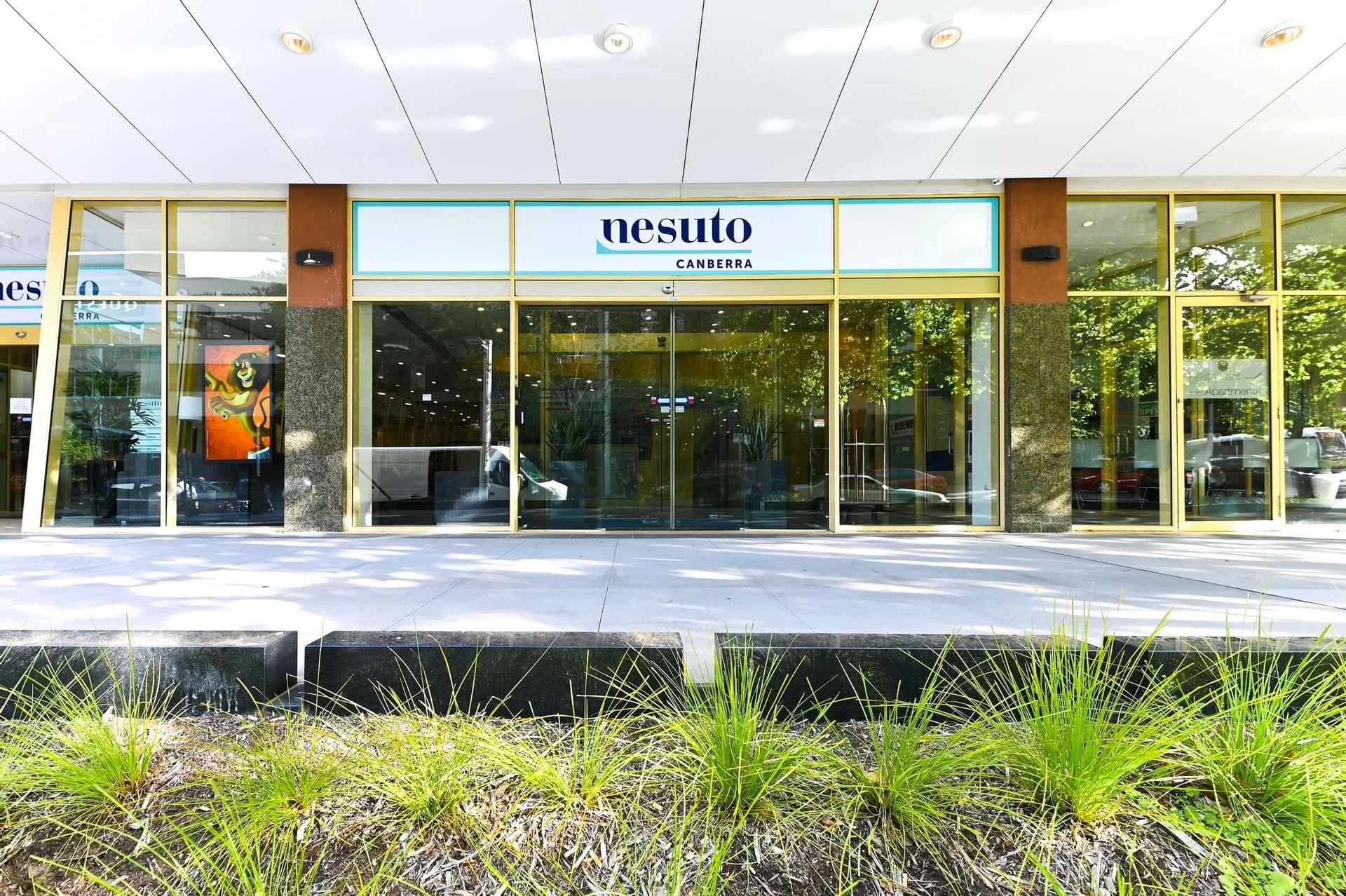 Front view of a retail store called 'nésuto' located in Canberra, with large glass windows and doors, yellow accents, and a landscaped sidewalk in front with green plants.