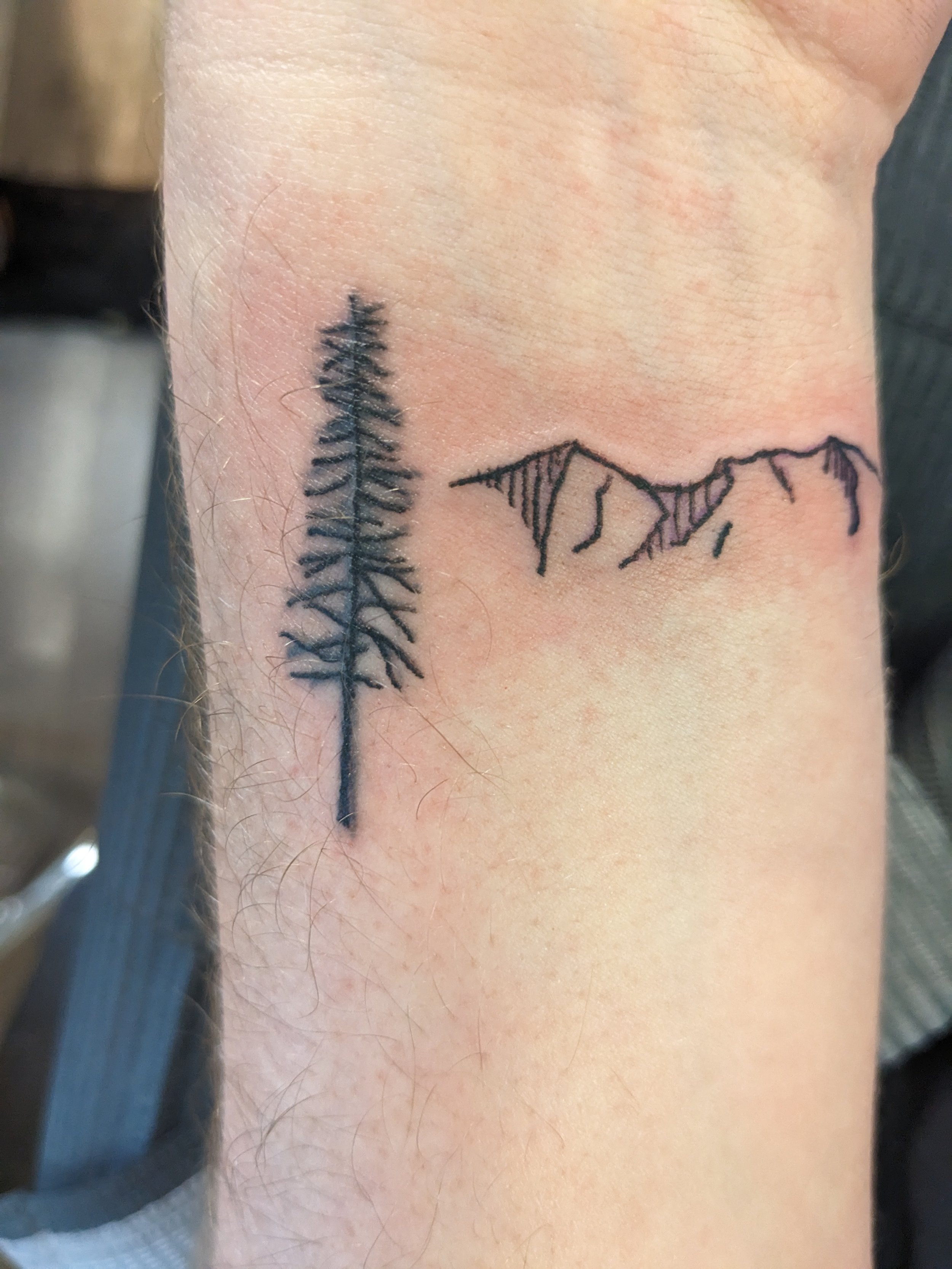 DZUL INK LOUNGE on Twitter Adopt the pace of nature her secret is  patience Tattoo by Alex dzul dzulink dzulinklounge pnw pnwtattoo  treetattoo treetattoosleeve westcoast westcoastbestcoast pinetree  pinetreetattoo seattle 