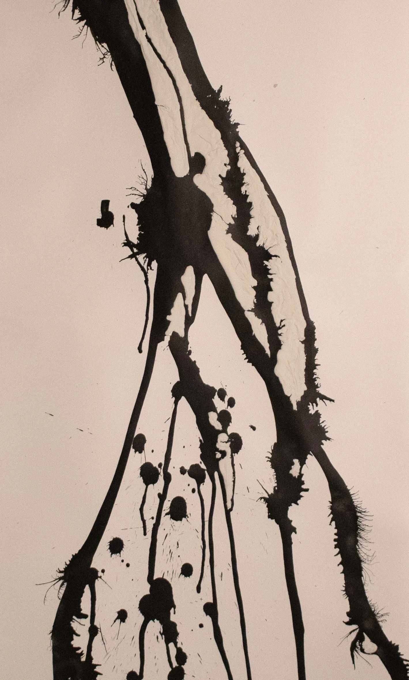 IMG_0287 (Detail).JPG