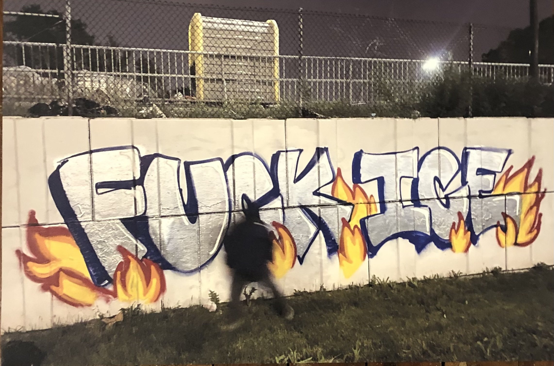 Fuck ICE 3.jpg