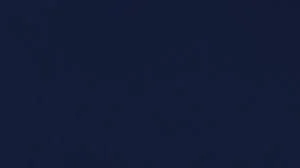 navy blue.jpeg