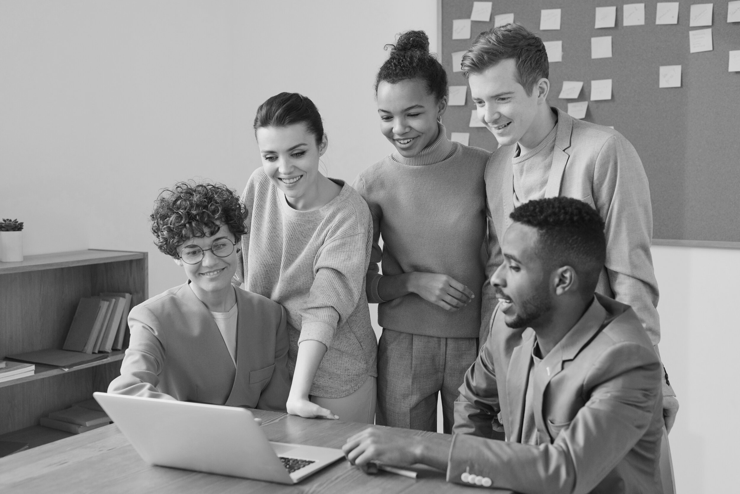 photo-of-people-looking-on-laptop-3182743 bnw.jpg