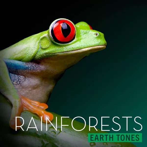 Extreme Music - ET RAINFORESTS