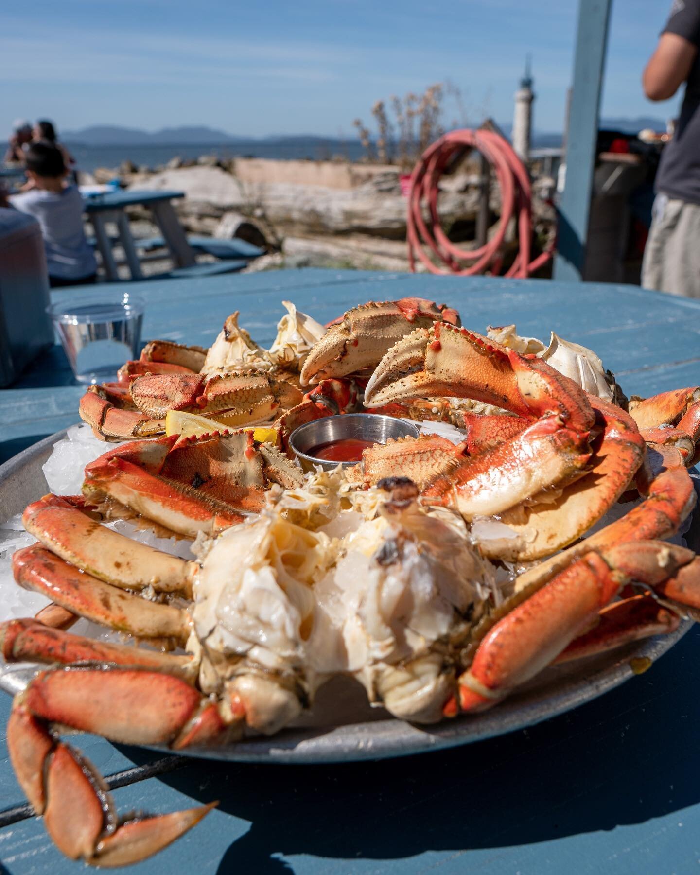 📍 @taylorshellfish 

Hope you all had a great 4th of July! It&rsquo;s finally crabbing season. One of our favorite places of the season is to take a trip to @taylorshellfish for all the fresh seafood!